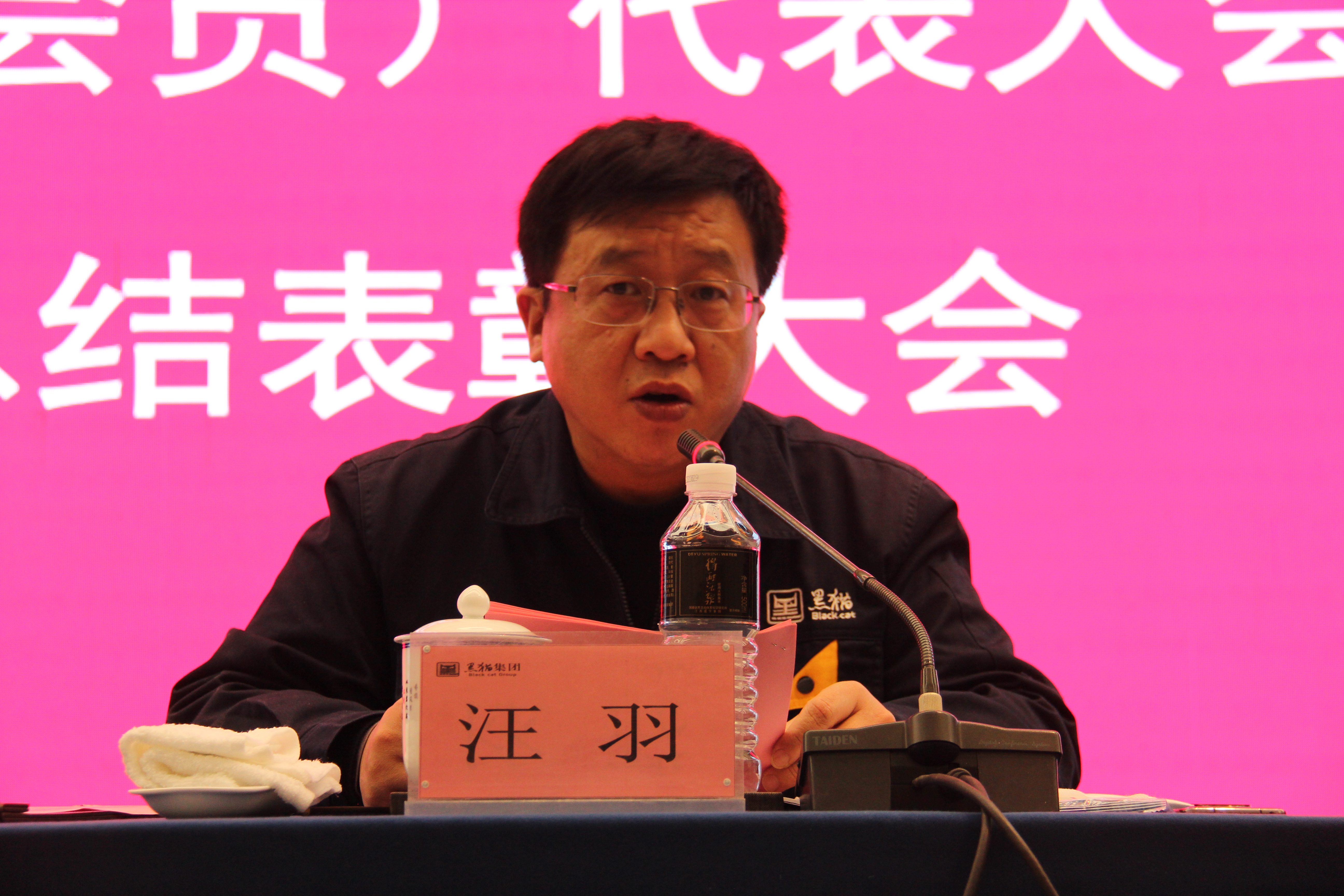 黑貓集團(tuán)黨委副書記、總經(jīng)理汪羽發(fā)言 (2).JPG